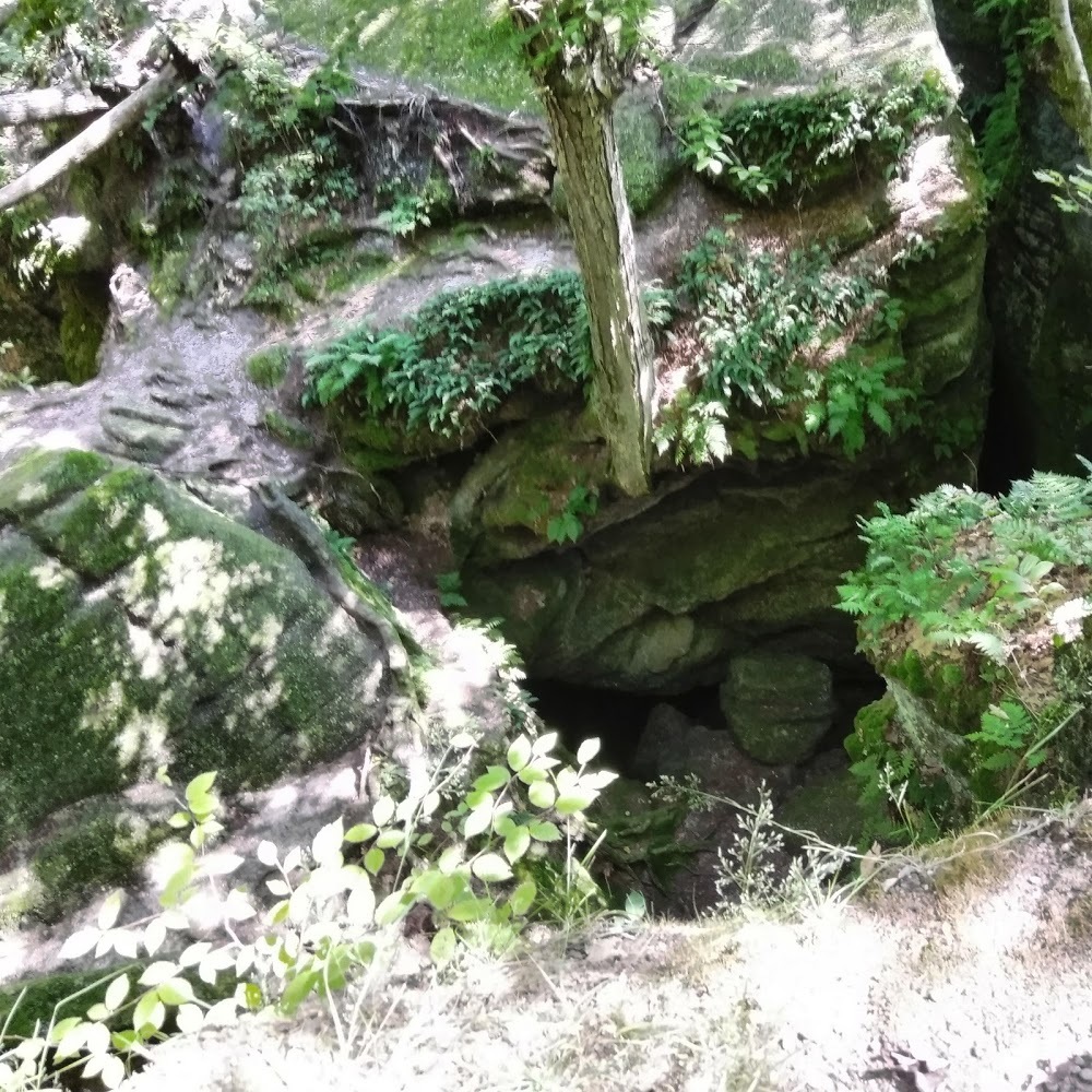 Meet your Posher, Chad